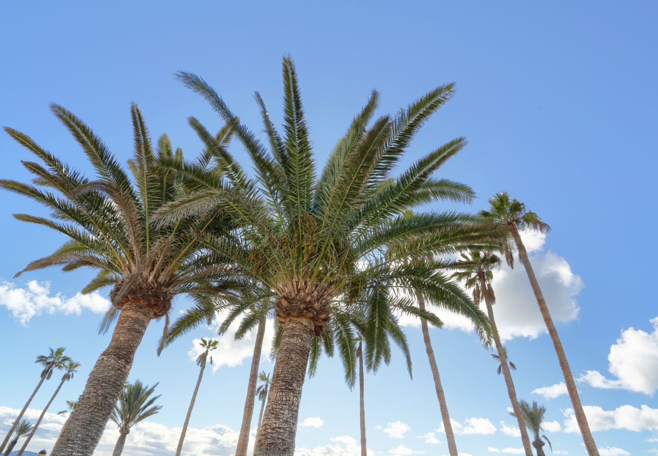 Bungalow a Playa Blanca - Playa Flamingo Margarita