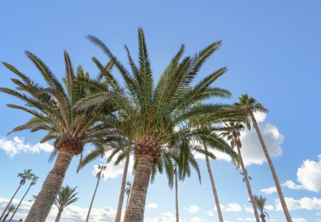 Бунгало на Playa Blanca - Артикул. 517192